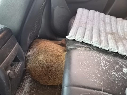 또 레전드 갱신된 한문철TV ㄷㄷㄷㄷㄷ