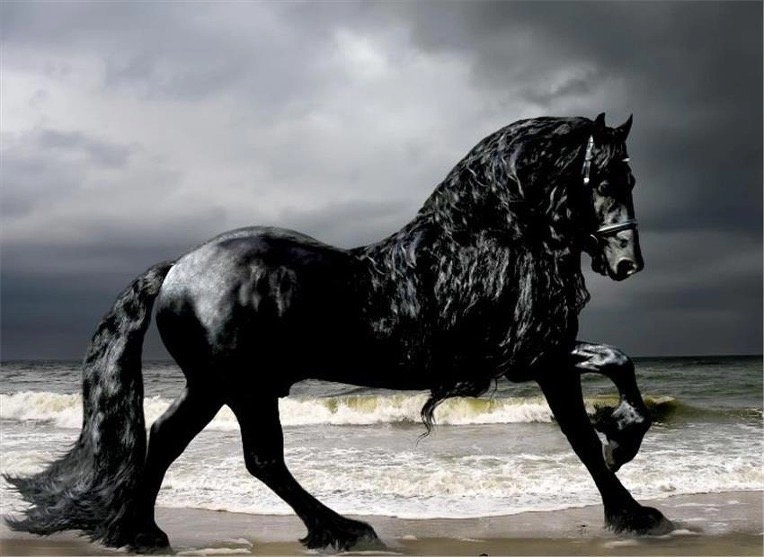 세계에서 가장 섹시한말