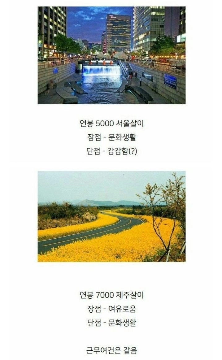 연봉 5000 서울살이 vs 연봉 7000 제주살이