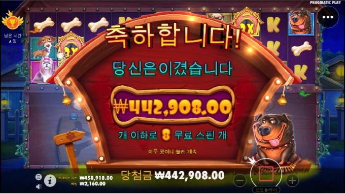 도그하우스 멀티~간만에 득득득득 맥스윈