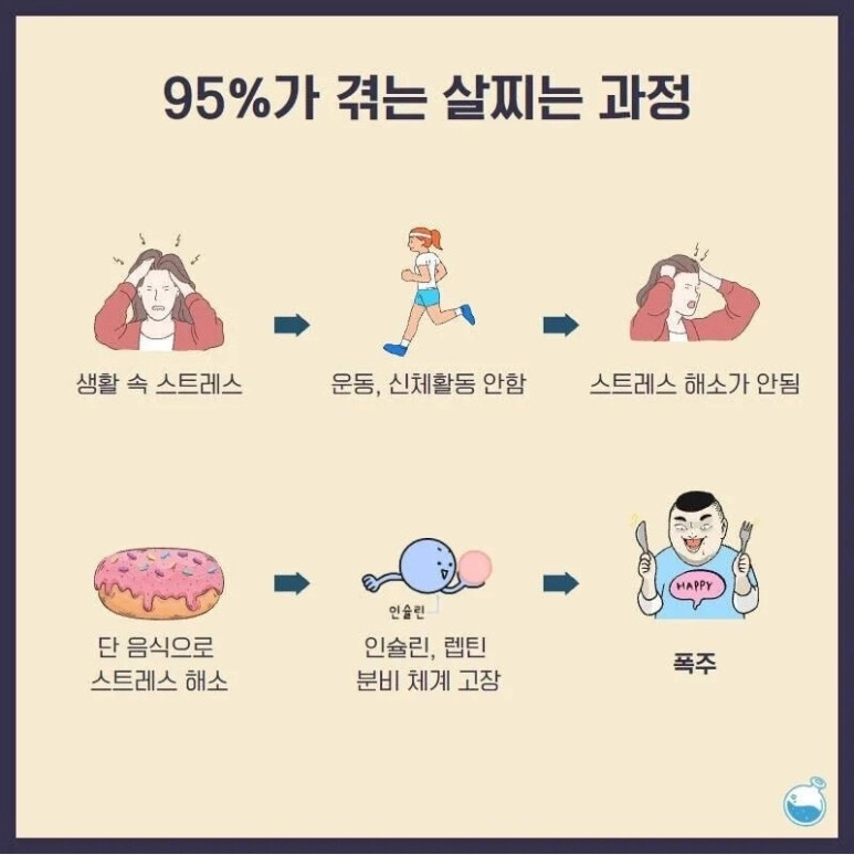 현대인들 대부분이 살찌는 과정
