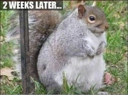 땅콩 트럭이 전복된 후 사고 후유증