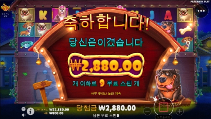 리뉴얼 개집 하지마세요ㅋㅋㅋㅋㅋㅋ