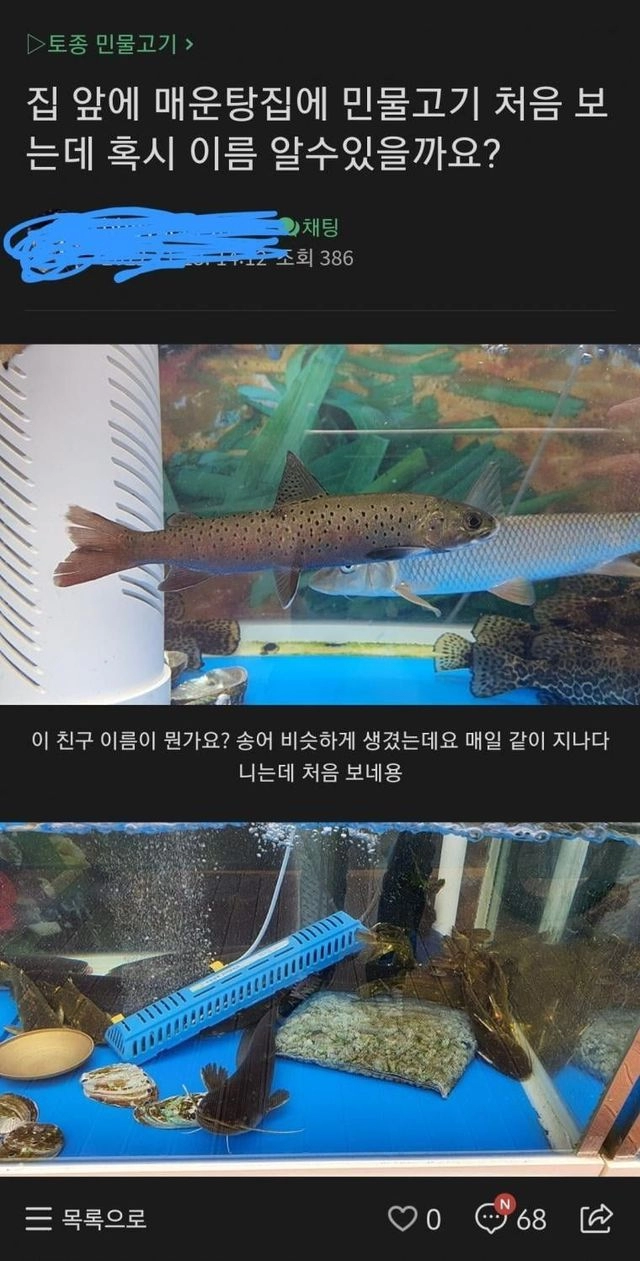 매운탕집 레전드