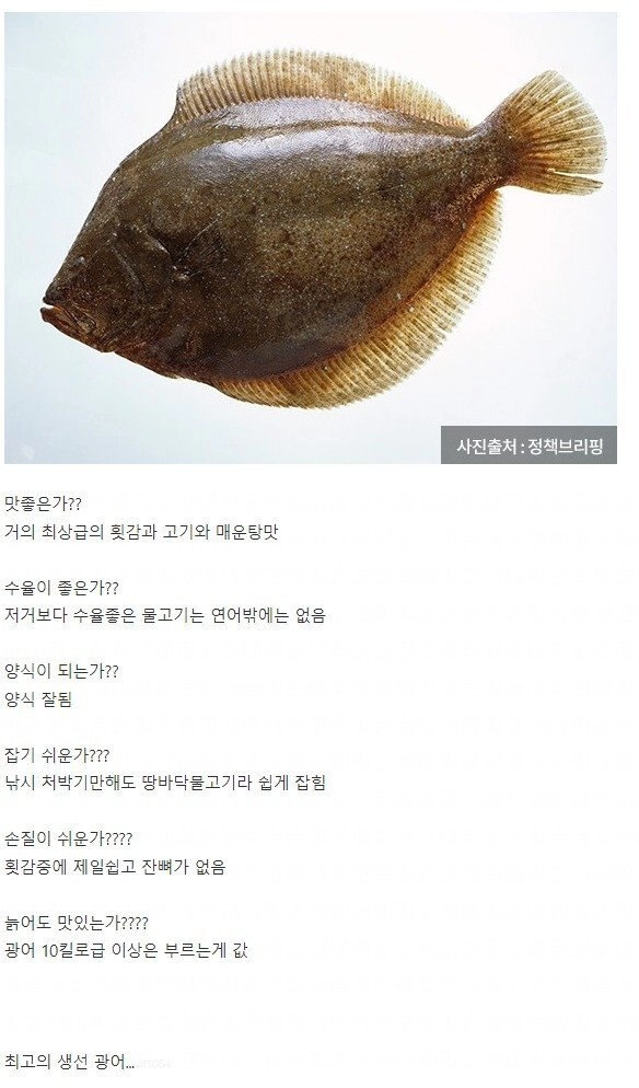 흔하지만 최고급 생선중 1티어