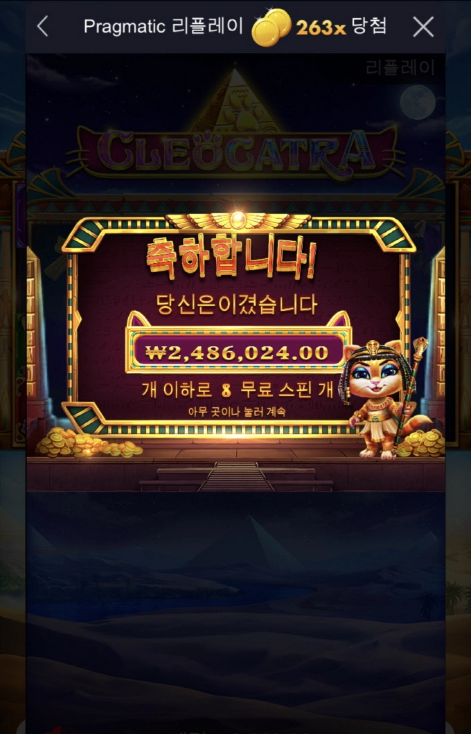 고양이 한마리 분양예정ㅅㅅㅅ