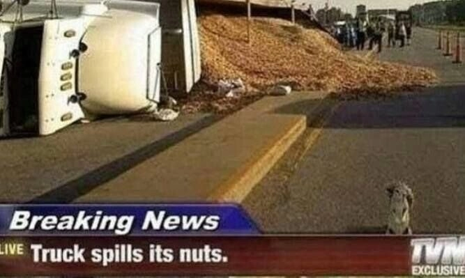 땅콩 트럭이 전복된 후 사고 후유증