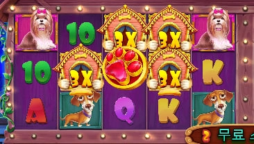 개집 멀티 하나밖에 안열리는건 선넘은거 아닌가??