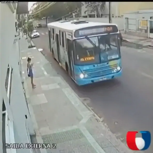 흔한 브라질의 거리