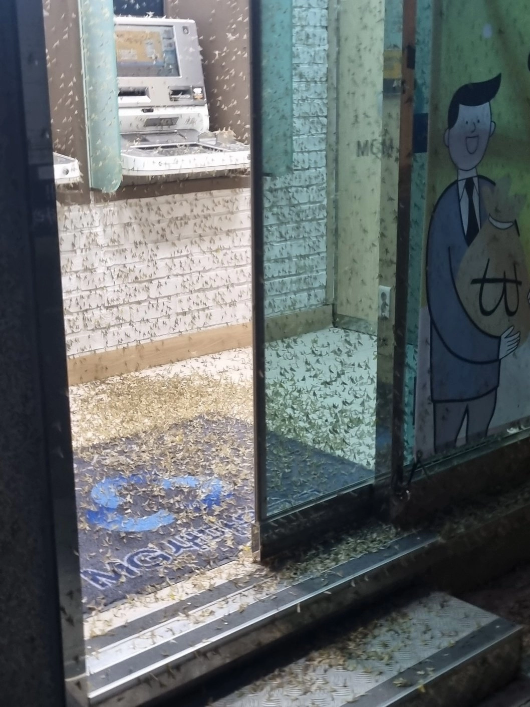 여름이 싫은 이유 중 하나 *극혐주의