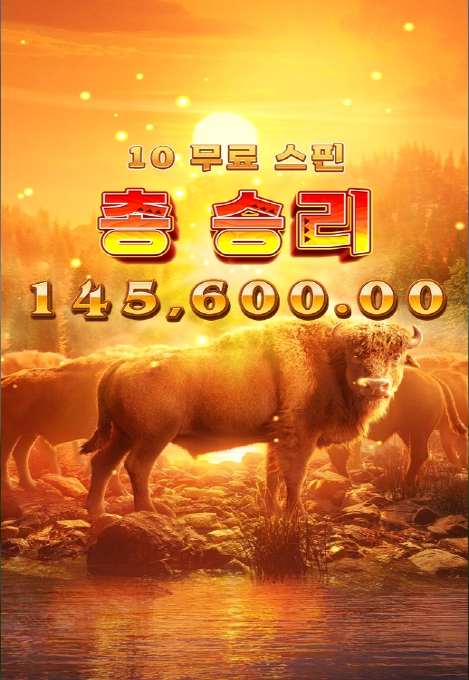 피지 버팔로 후기