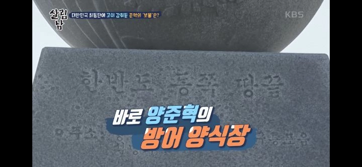 양준혁이 소유하고 있는 (대)방어 양식장