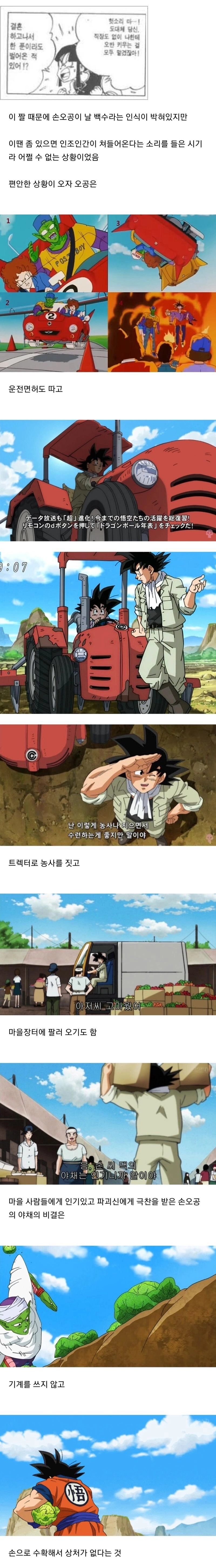 드래곤볼 손오공 직업