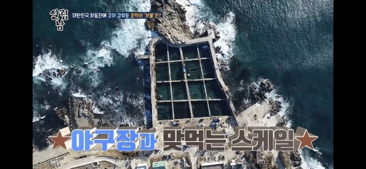 양준혁이 소유하고 있는 (대)방어 양식장