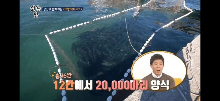 양준혁이 소유하고 있는 (대)방어 양식장