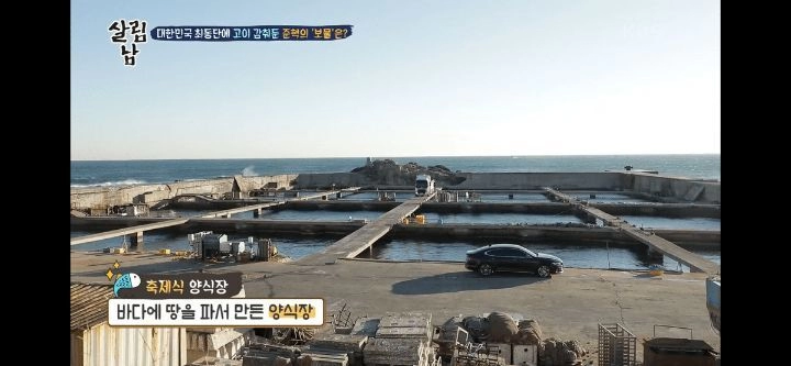 양준혁이 소유하고 있는 (대)방어 양식장