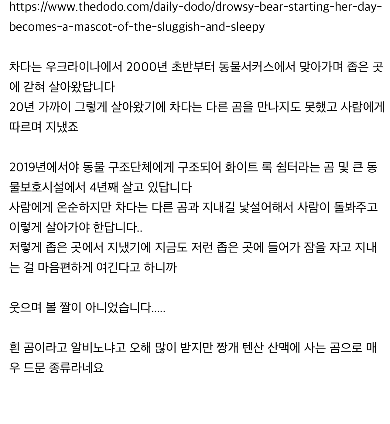 20년 가까이 학대당하며 살아온 곰