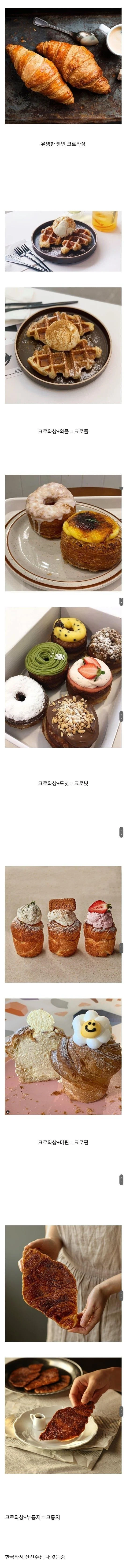 한국에와서 고생중인 크루와상