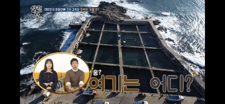 양준혁이 소유하고 있는 (대)방어 양식장