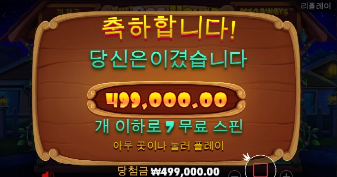 새벽반 도그하우스