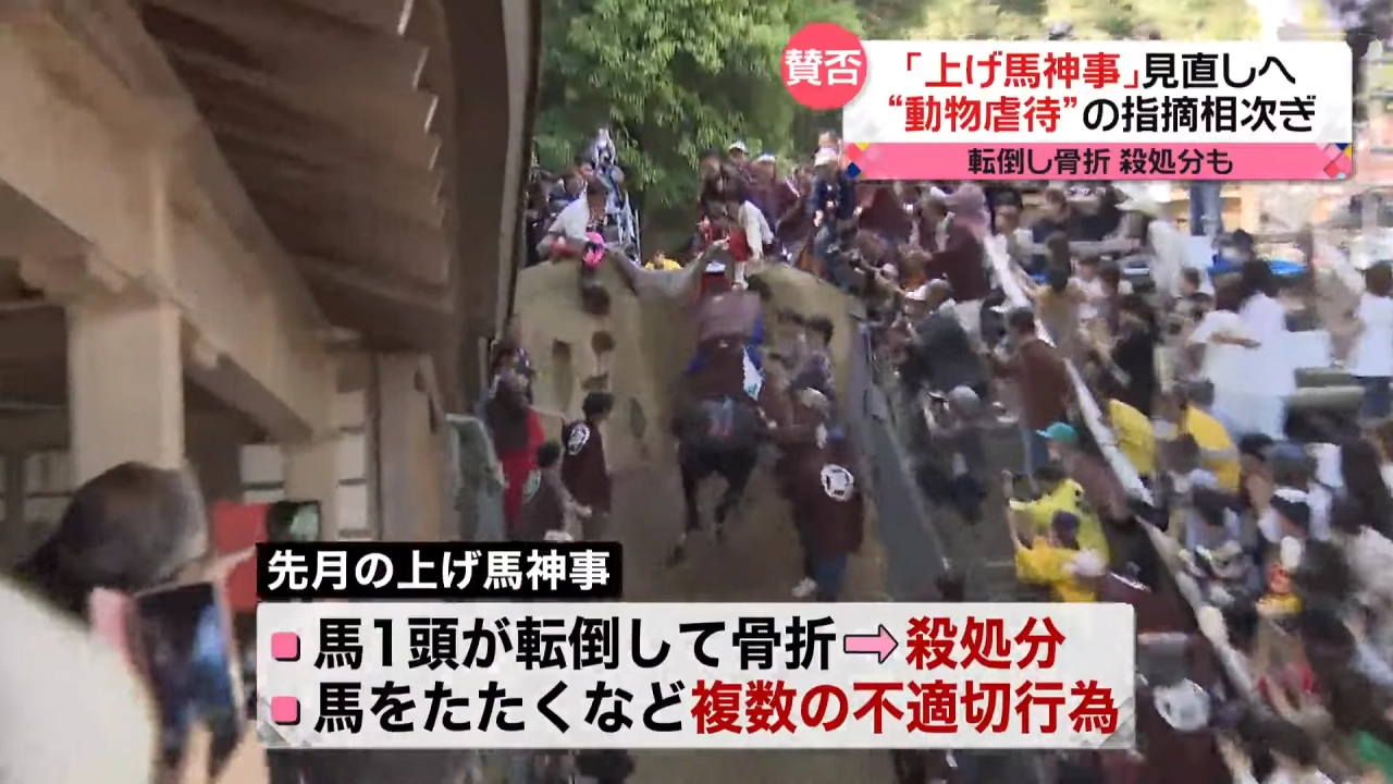 현재 동물보호단체에게 고소당한 일본 축제