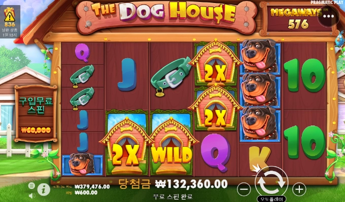 강아지 산책시간