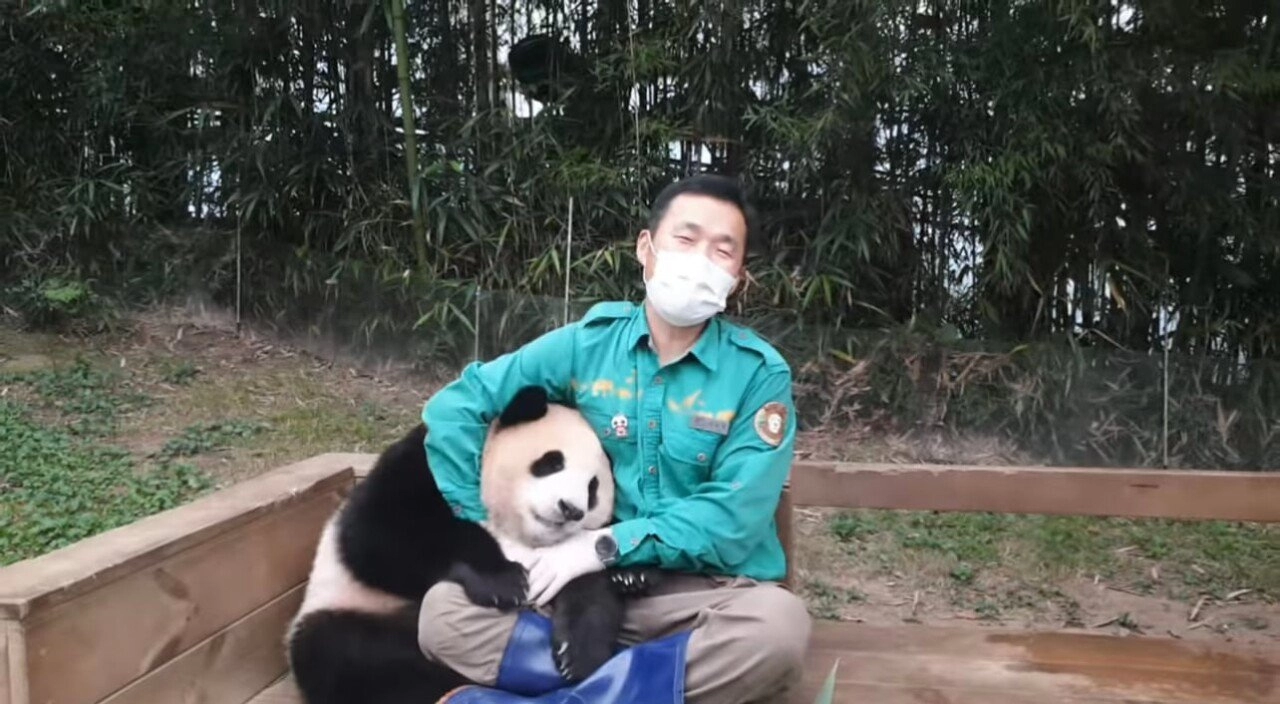 한시도 가만히 있지 못하는 푸바오의 돌잔치