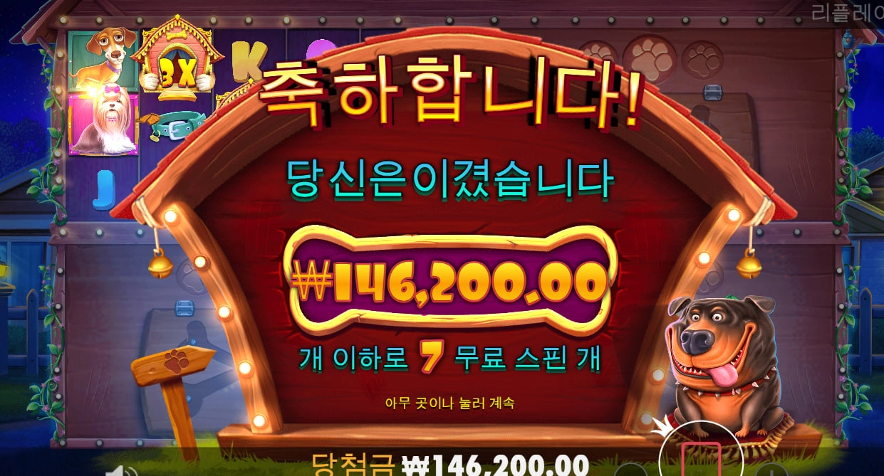 멀티개집  진짜 너무 안주넹 ㅠㅠ