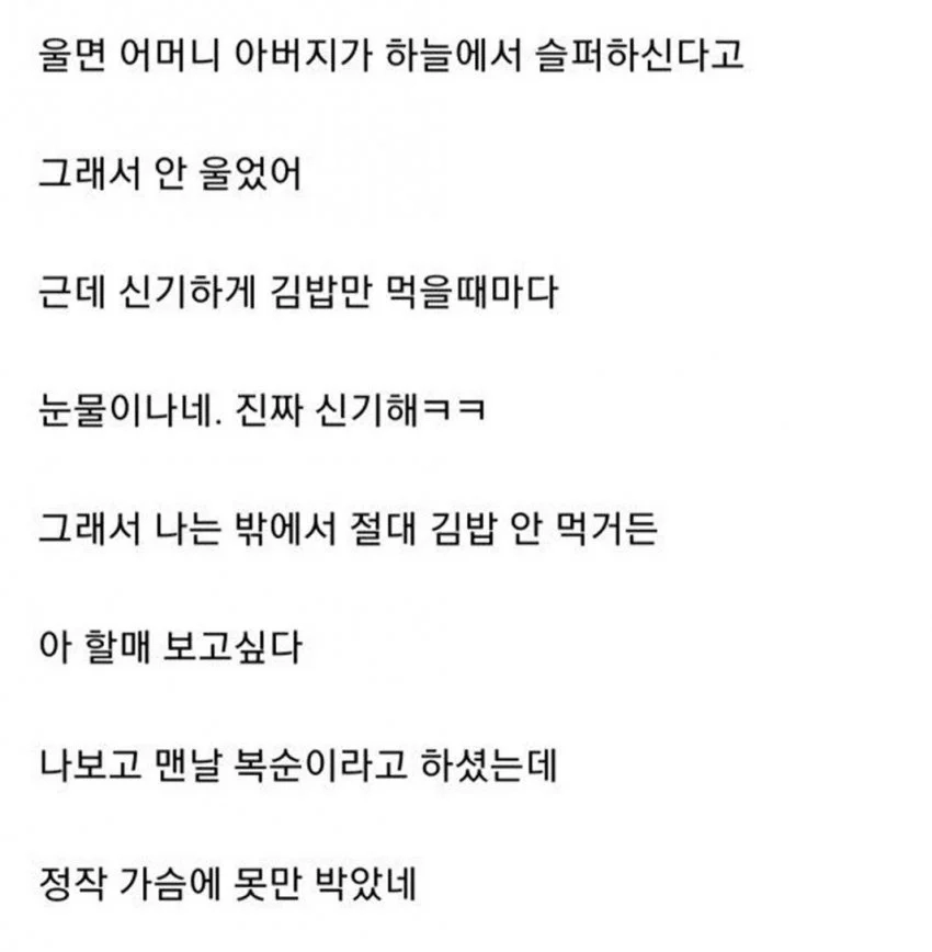 할머니가 싸준 김밥