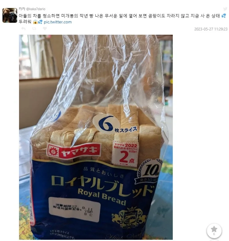 유통기한 9개월이 지난 일본의 식빵