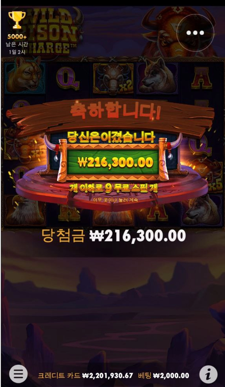 갬블러플레이+와일드비손차지