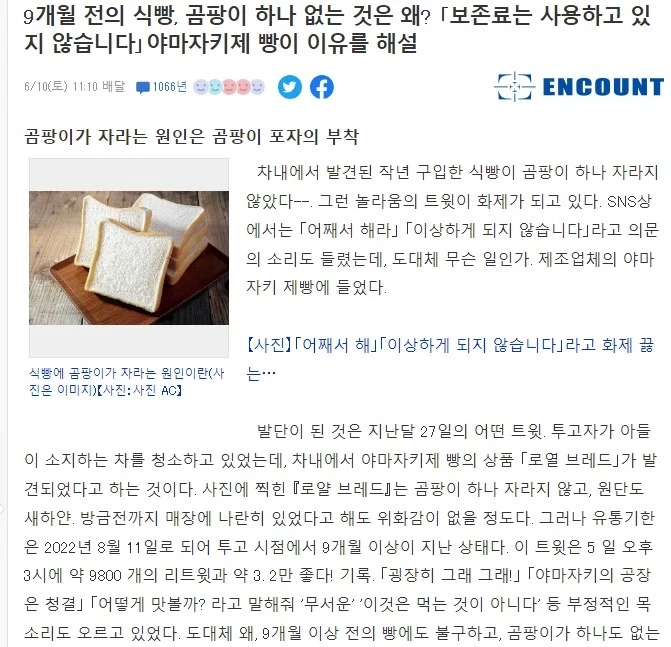 유통기한 9개월이 지난 일본의 식빵