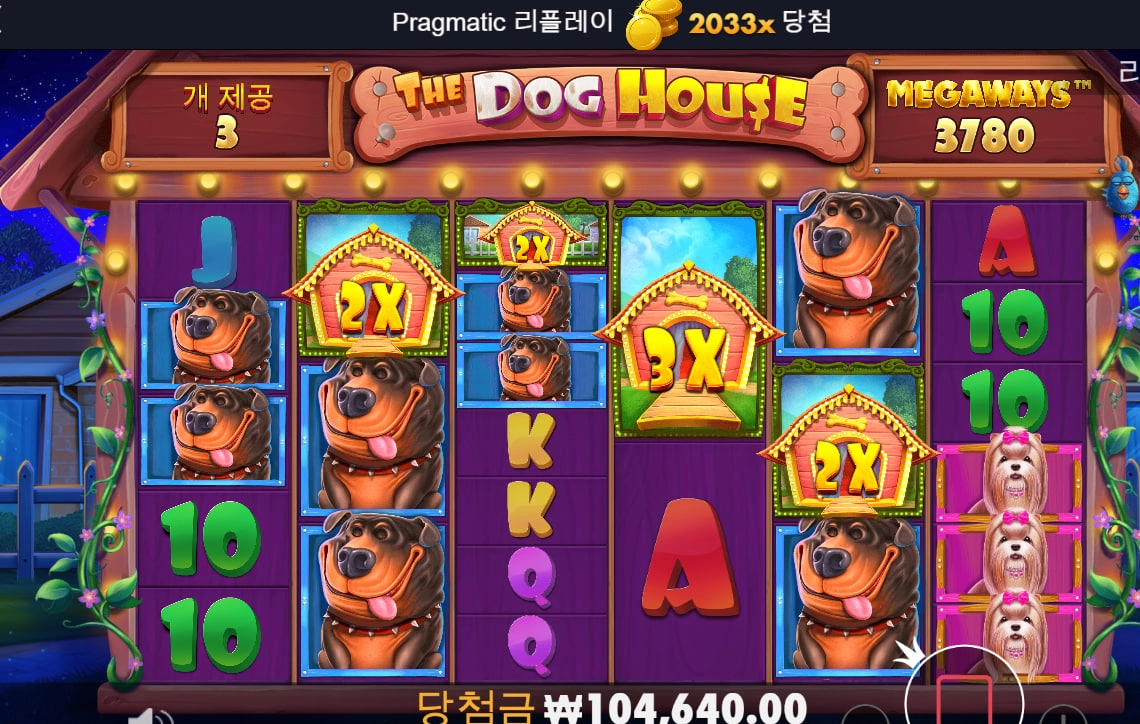 개집 5발바닥 ㅋㅋㅋ