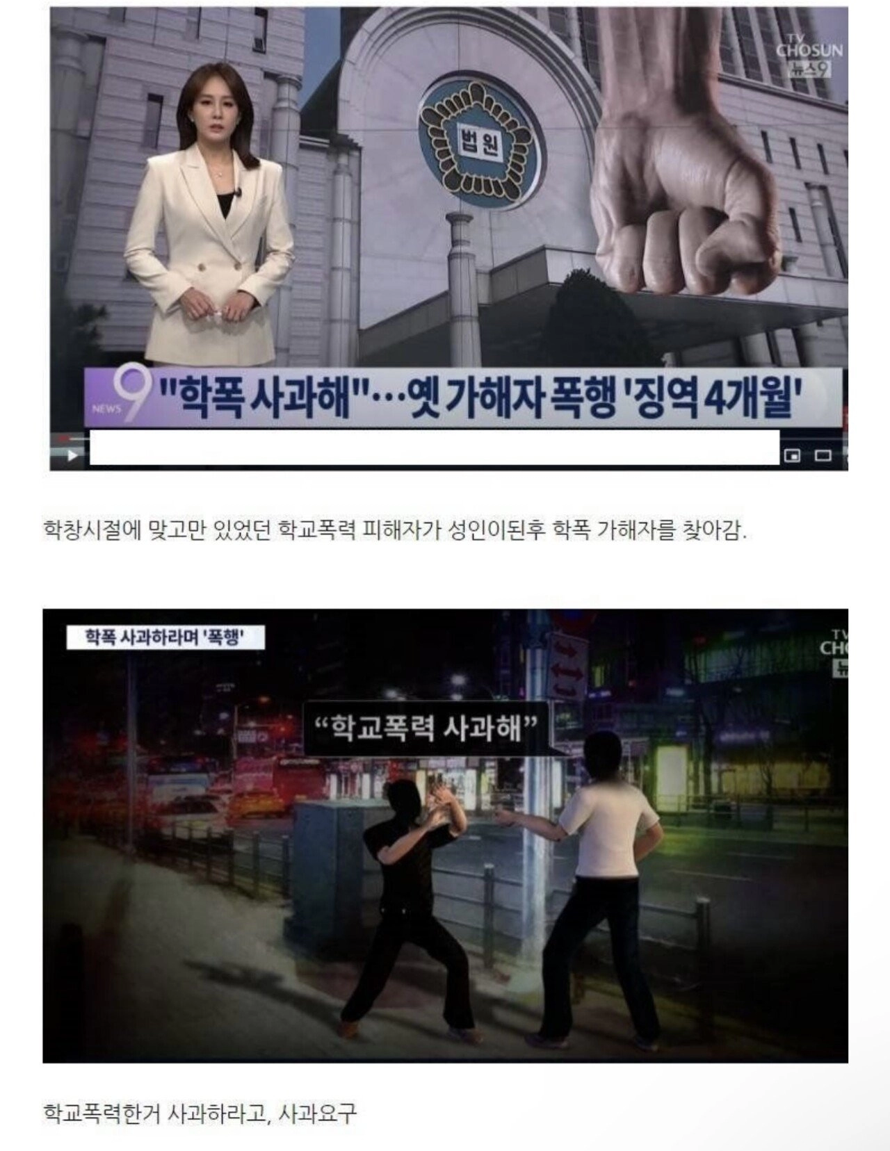 학폭 당했다가 성인되고나서 가해자를 패버린 피해자