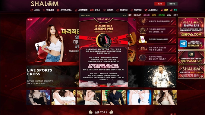 샬롬(SHALOM)먹튀 샬롬(SHALOM)먹튀확정 샬롬(SHALOM)먹튀사이트