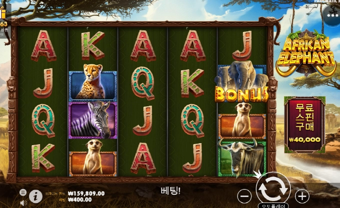 아프리카코끼리 안주는놈은 진짜 안주네