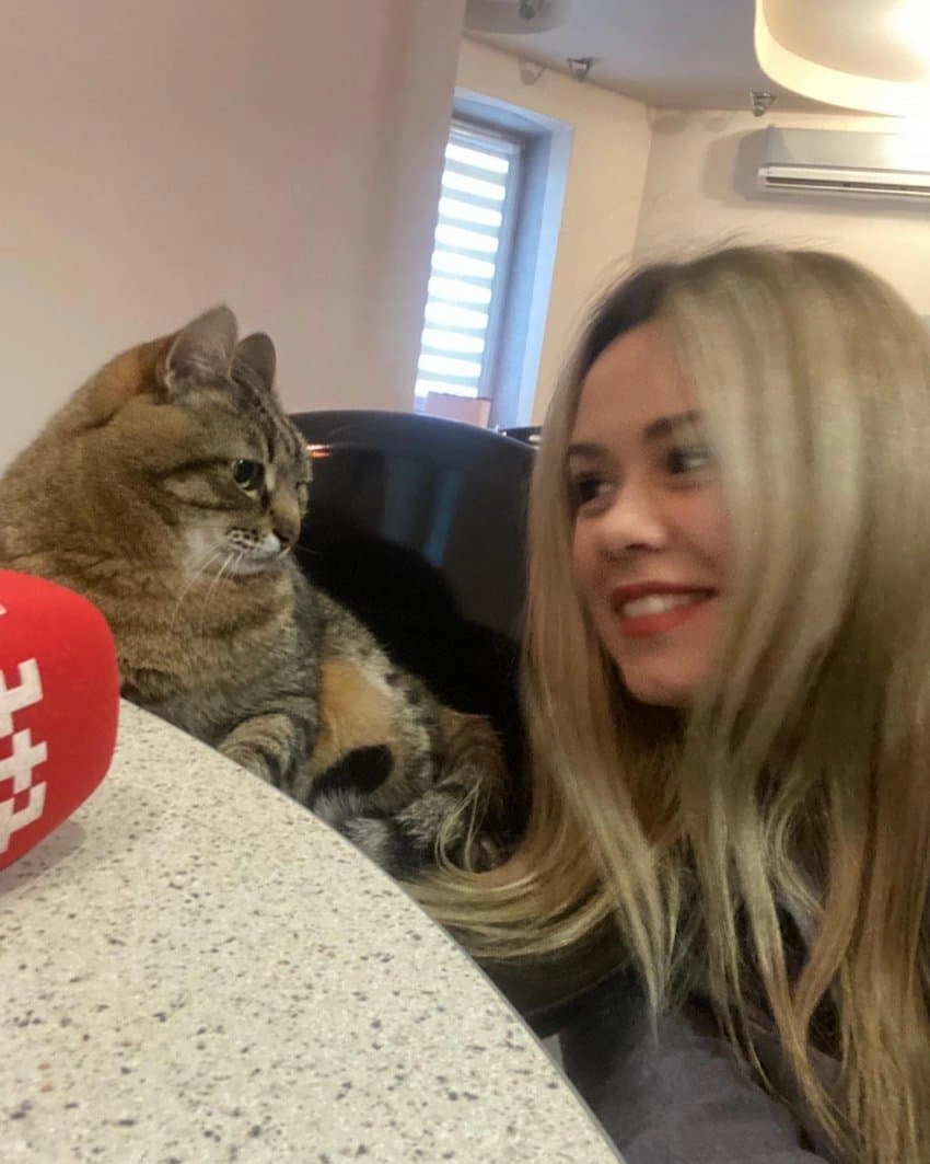 SNS에서 특이한 자세로 유명해진 고양이