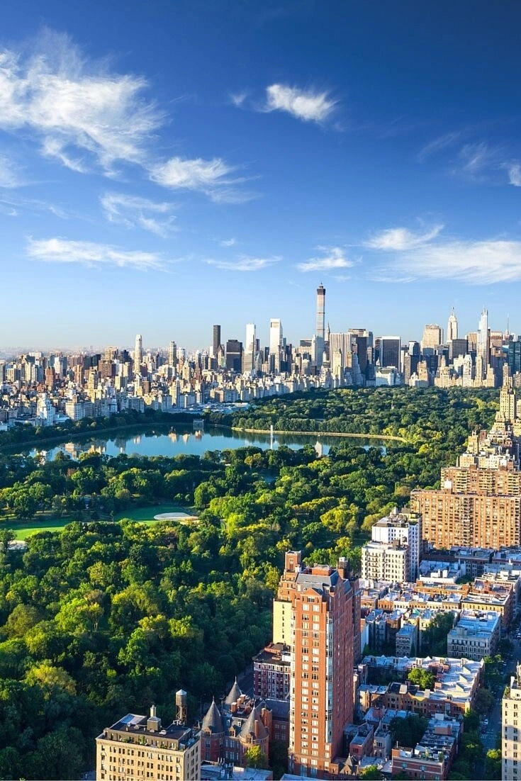 뉴욕에서 정신병원을 대체하고 있는 녹지 공간