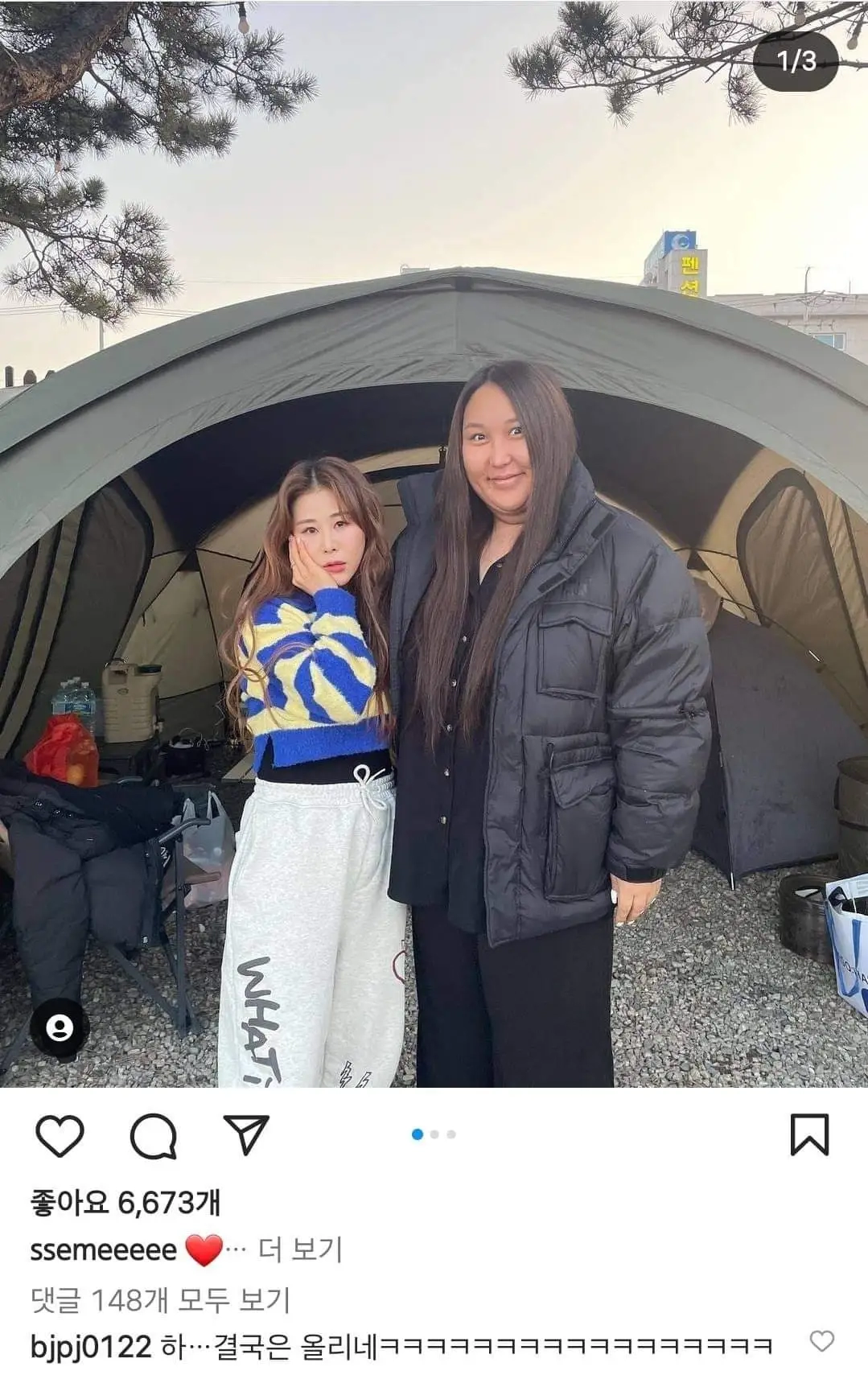 풍자 실제 크기