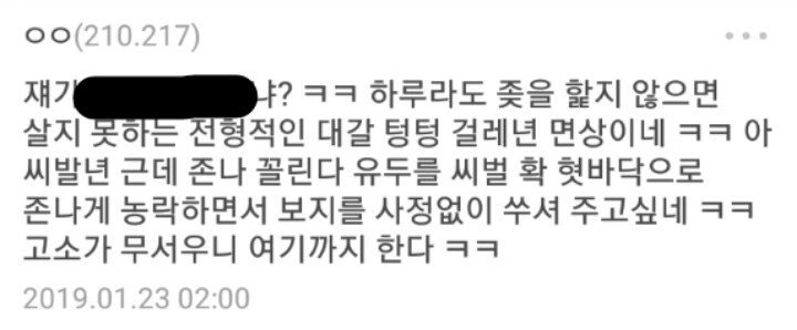 고소가 무서운 악플러