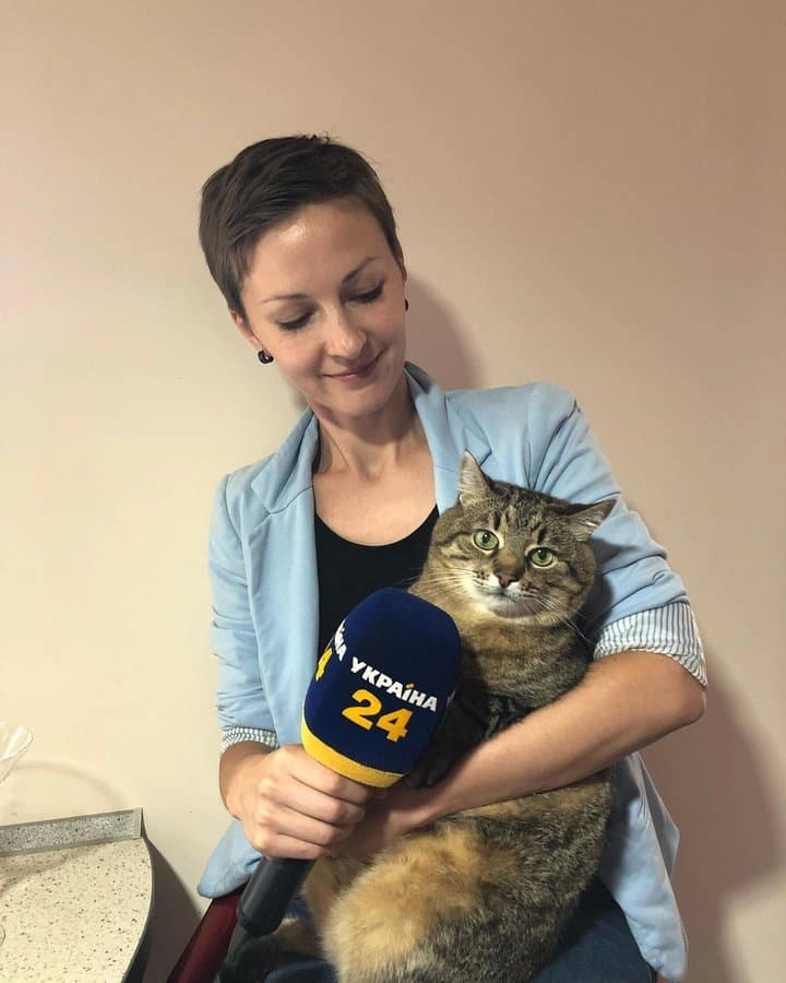 SNS에서 특이한 자세로 유명해진 고양이