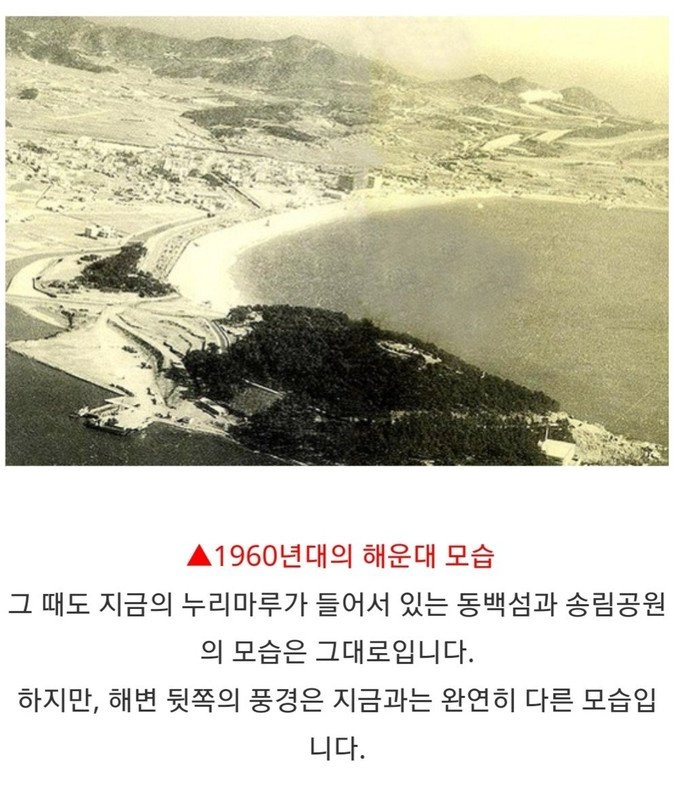 에어컨 희귀했던 시절 한국인들의 피서