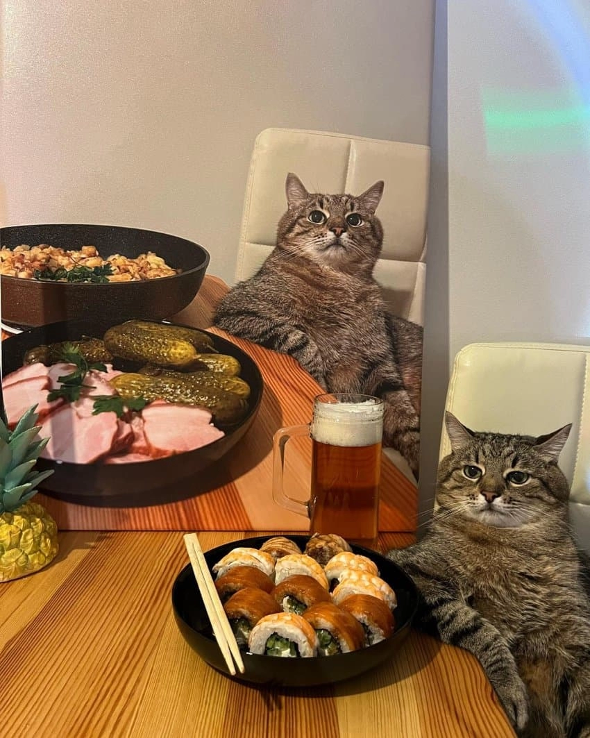 SNS에서 특이한 자세로 유명해진 고양이