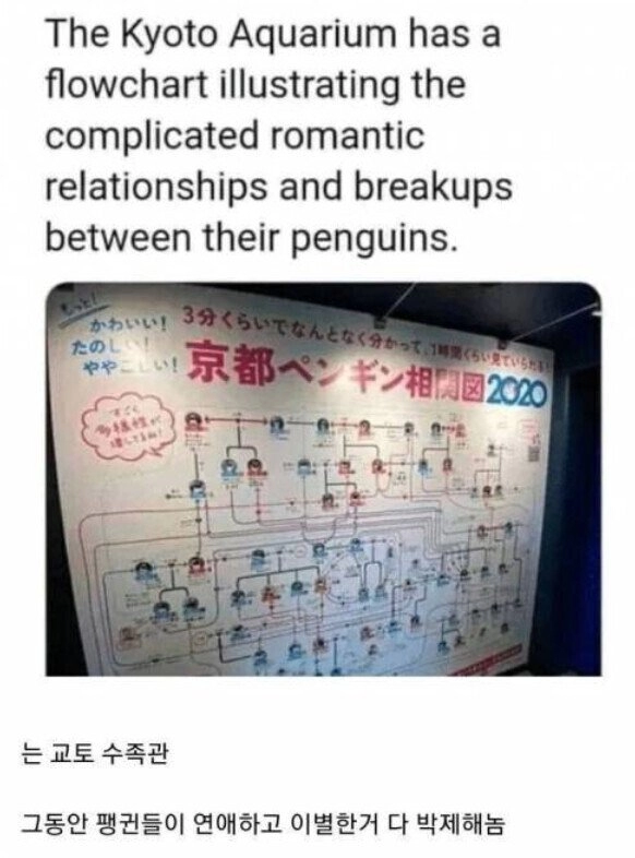 사내 연애 관계를 박제 해놓은 회사