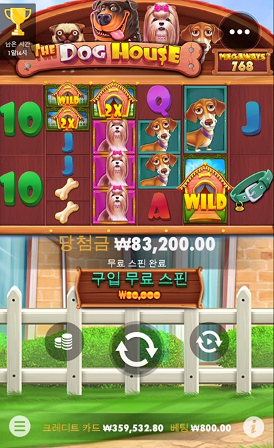 강아지 새벽산책