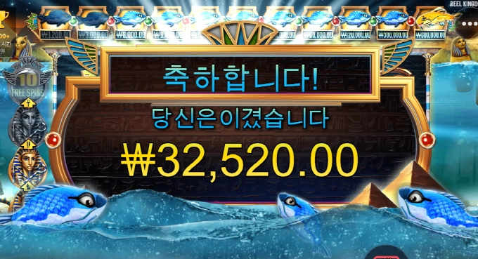 피쉬아이 나도 맥스윈 먹고 싶다