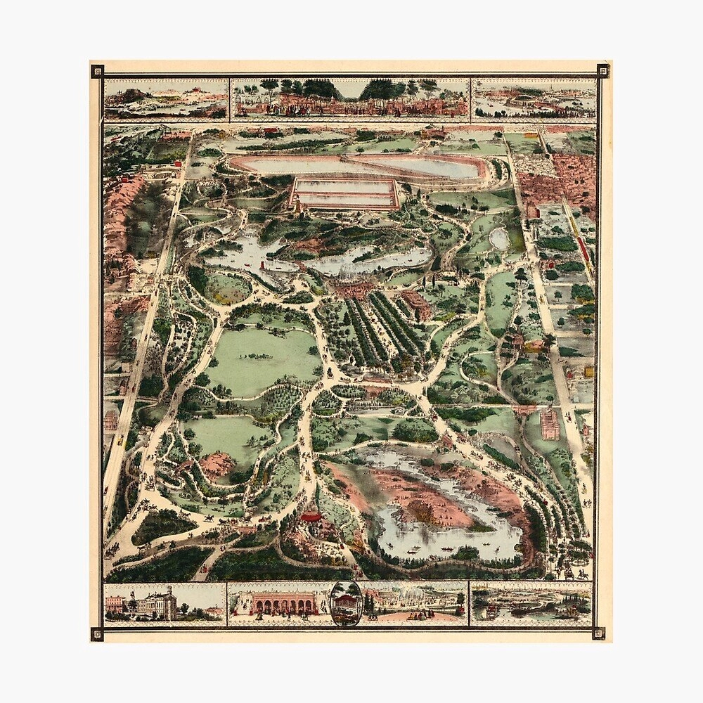 뉴욕에서 정신병원을 대체하고 있는 녹지 공간