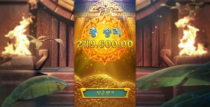 피지 소소하게 잘놀고 갑니다