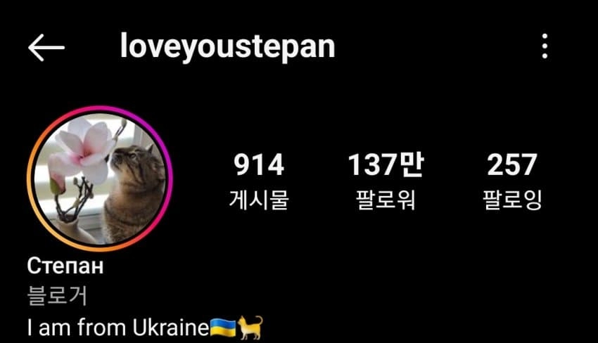 SNS에서 특이한 자세로 유명해진 고양이