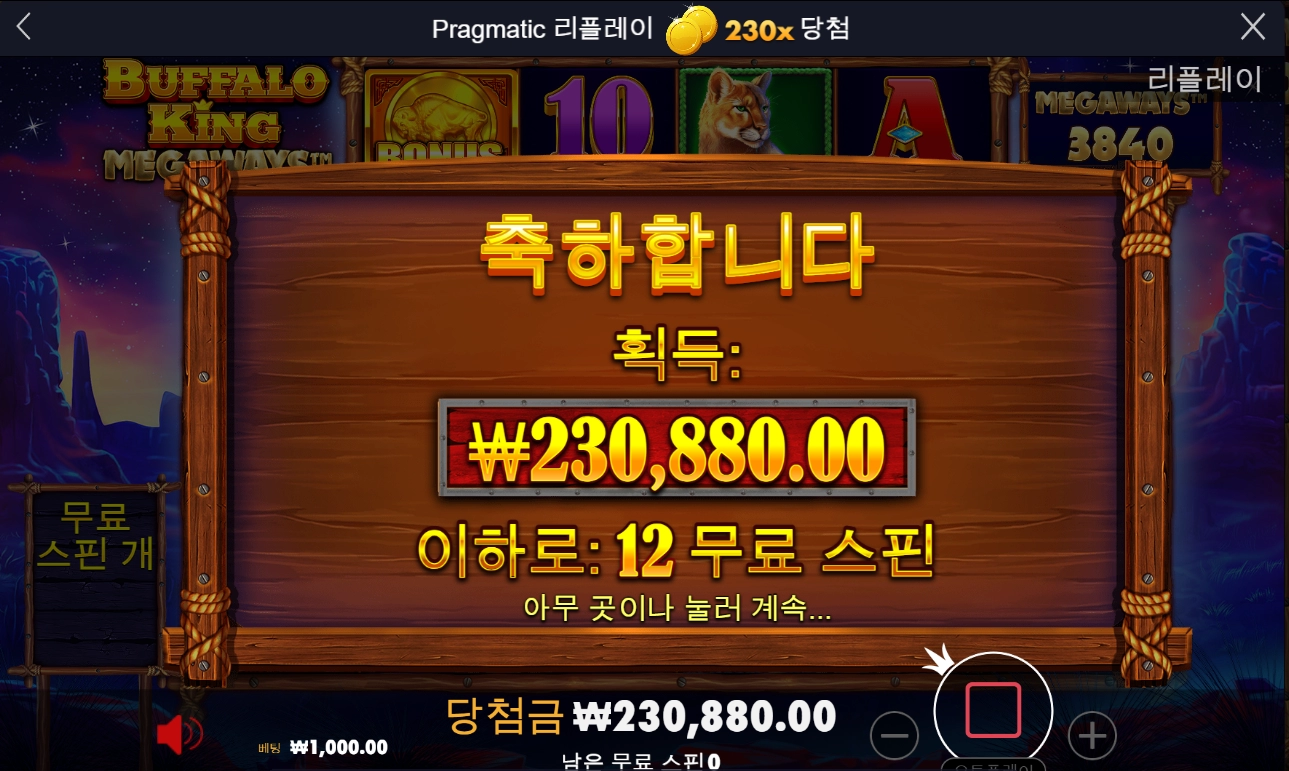버팔로 킹 230배 후기